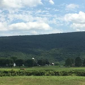 Meet your Posher, Carole